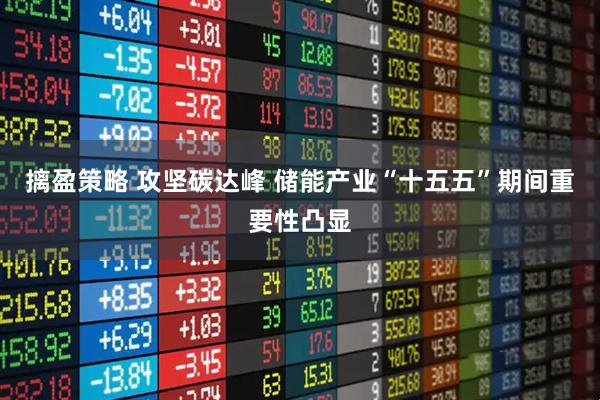 摛盈策略 攻坚碳达峰 储能产业“十五五”期间重要性凸显