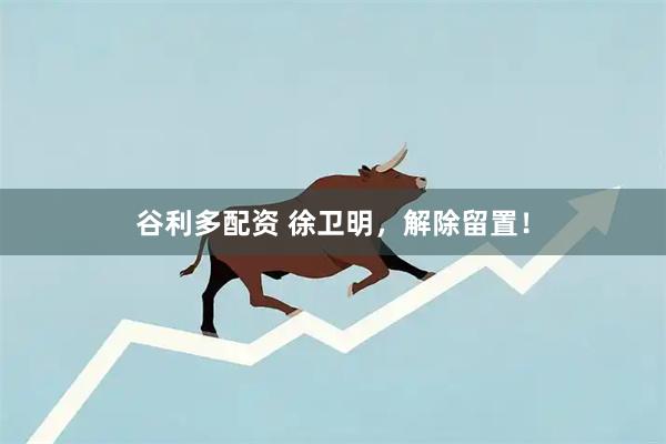 谷利多配资 徐卫明，解除留置！