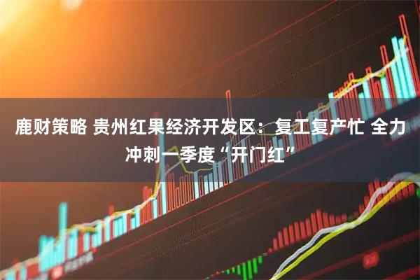 鹿财策略 贵州红果经济开发区：复工复产忙 全力冲刺一季度“开门红”
